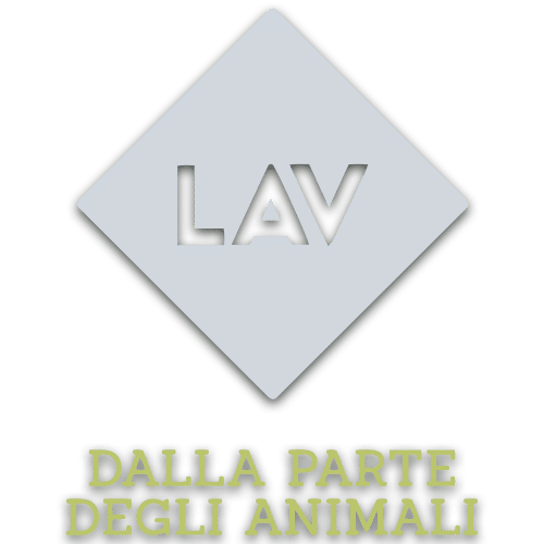 LAV - Cliente Ecologica