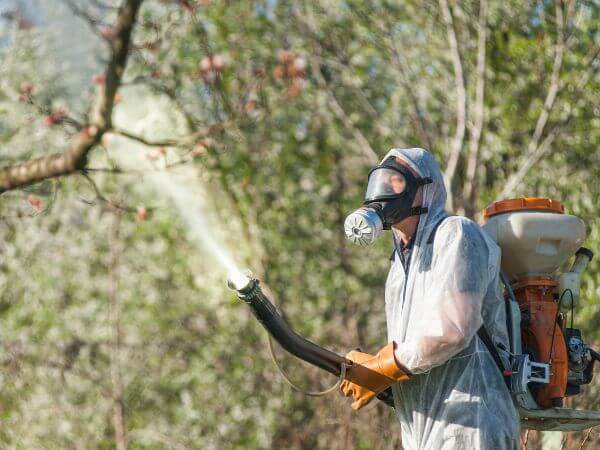 insetticida biologico