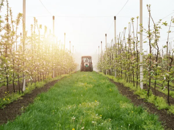 disinfestazione industrie agricole
