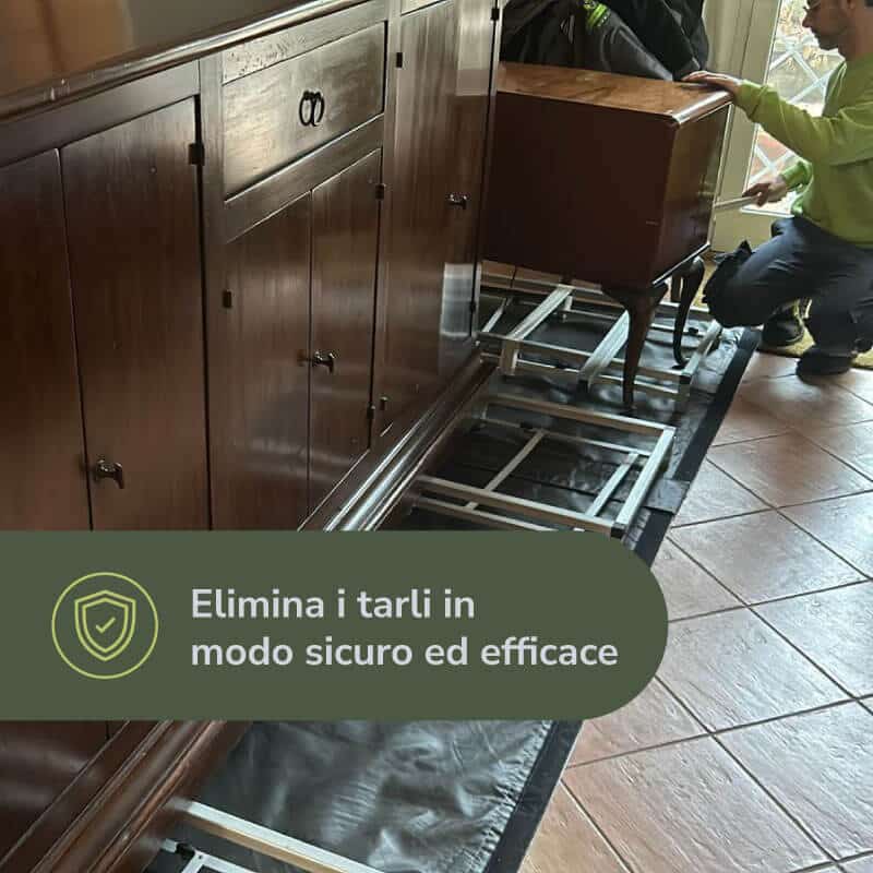 Trattamento per eliminare i tarli dal legno