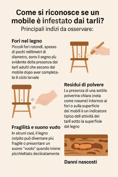 infografica su mobile infestato dai tarli