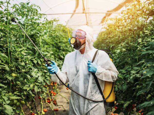 insetticida naturale