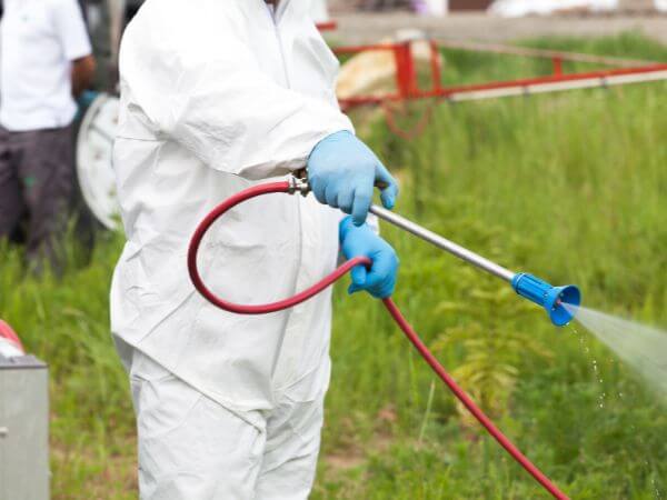 insetticidi biologici