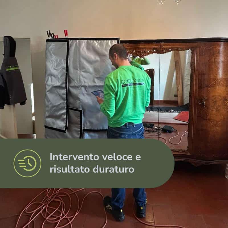 intervento antitarlo duraturo