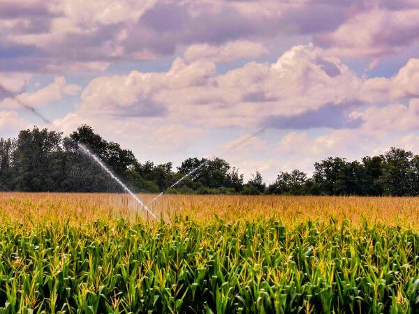gestione sostenibile dell'irrigazione