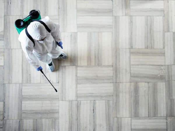 lavorare come disinfestatore