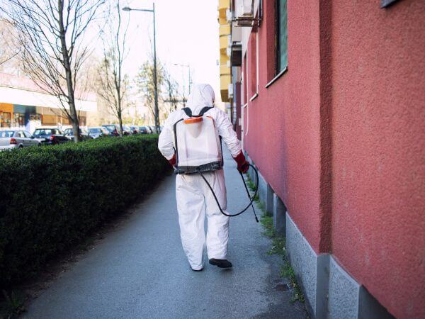 lavoro di disinfestatore