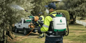 Operatore specializzato esegue un trattamento fitosanitario su un albero con irroratore professionale in area verde