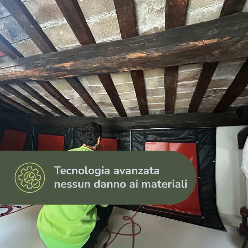 Tecnologia avanzata utilizzata nel trattamento antitarlo