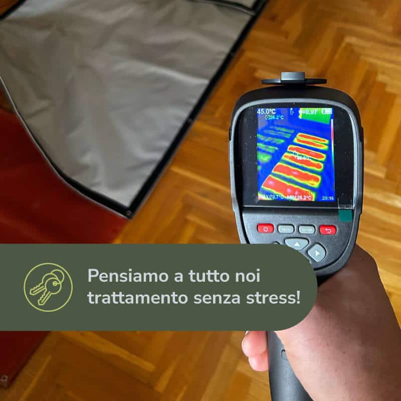 trattamento anti tarlo